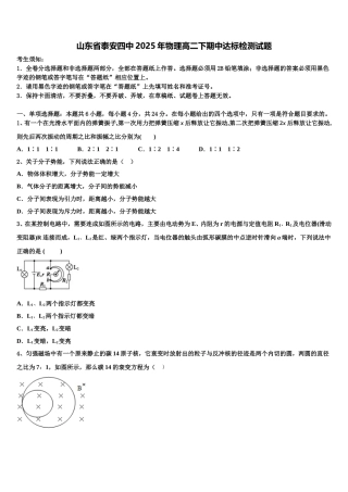 山东省泰安四中2025年物理高二下期中达标检测试题含解析