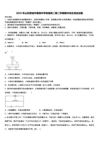 2025年山东肥城市泰西中学物理高二第二学期期中综合测试试题含解析