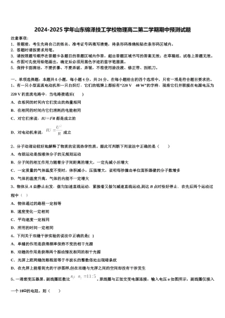 2024-2025学年山东锦泽技工学校物理高二第二学期期中预测试题含解析