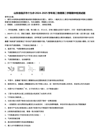 山东省临沂市十九中2024-2025学年高二物理第二学期期中检测试题含解析