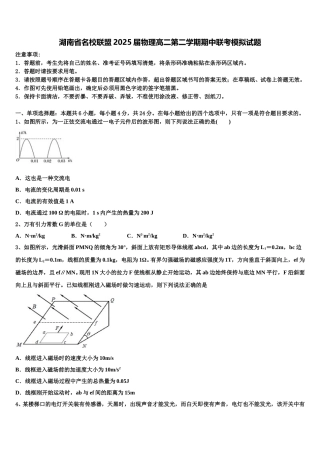 湖南省名校联盟2025届物理高二第二学期期中联考模拟试题含解析