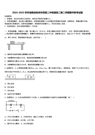 2024-2025学年湖南省株洲市茶陵二中物理高二第二学期期中联考试题含解析