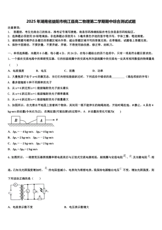 2025年湖南省益阳市桃江县高二物理第二学期期中综合测试试题含解析