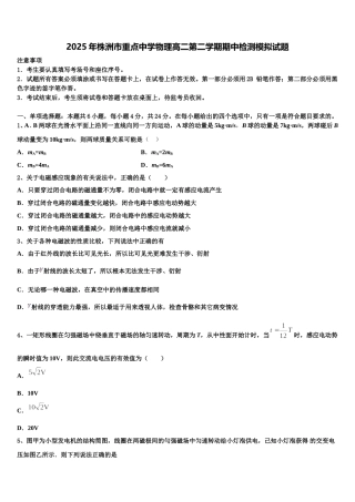 2025年株洲市重点中学物理高二第二学期期中检测模拟试题含解析