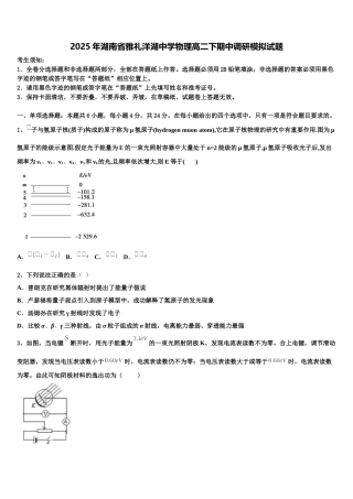 2025年湖南省雅礼洋湖中学物理高二下期中调研模拟试题含解析