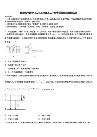 西南大学附中2025届物理高二下期中质量跟踪监视试题含解析