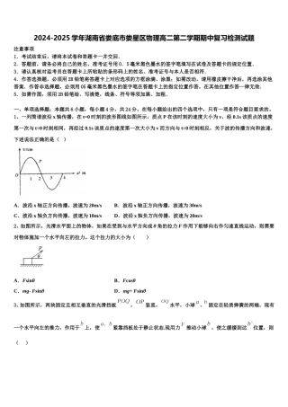 2024-2025学年湖南省娄底市娄星区物理高二第二学期期中复习检测试题含解析