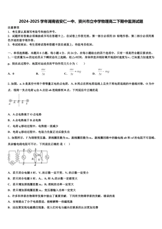 2024-2025学年湖南省安仁一中、资兴市立中学物理高二下期中监测试题含解析