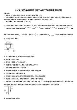 2024-2025学年湖南省武冈二中高二下物理期中监测试题含解析
