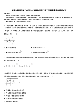 湖南省郴州市第二中学2025届物理高二第二学期期中统考模拟试题含解析
