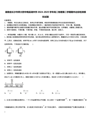 湖南省长沙市师大附中梅溪湖中学2024-2025学年高二物理第二学期期中达标检测模拟试题含解析