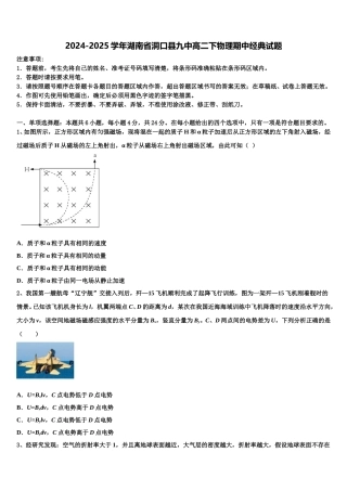 2024-2025学年湖南省洞口县九中高二下物理期中经典试题含解析