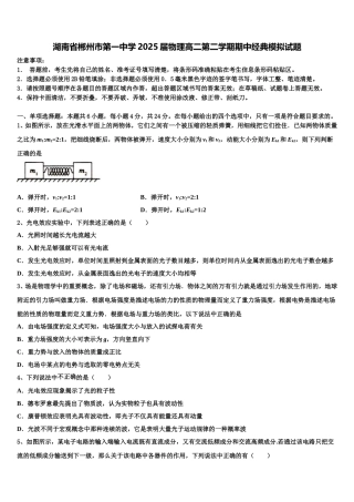 湖南省郴州市第一中学2025届物理高二第二学期期中经典模拟试题含解析