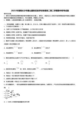 2025年湖南长沙市麓山国际实验学校物理高二第二学期期中联考试题含解析