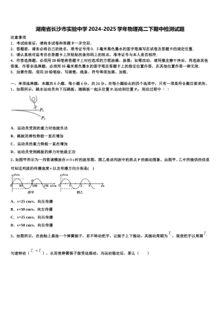 湖南省长沙市实验中学2024-2025学年物理高二下期中检测试题含解析