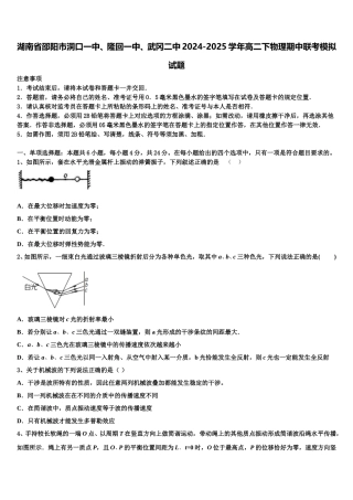 湖南省邵阳市洞口一中、隆回一中、武冈二中2024-2025学年高二下物理期中联考模拟试题含解析