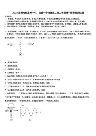 2025届湖南省嘉禾一中、临武一中物理高二第二学期期中综合测试试题含解析