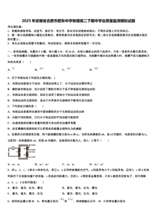 2025年安徽省合肥市肥东中学物理高二下期中学业质量监测模拟试题含解析