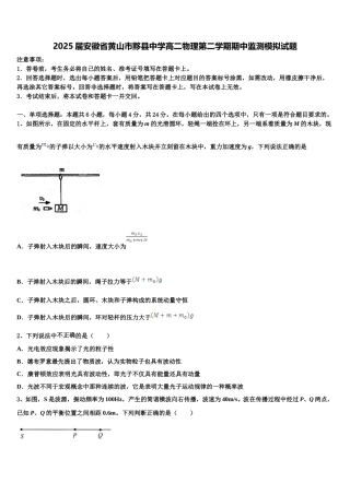 2025届安徽省黄山市黟县中学高二物理第二学期期中监测模拟试题含解析