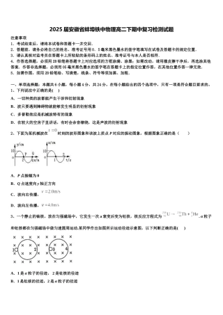 2025届安徽省蚌埠铁中物理高二下期中复习检测试题含解析