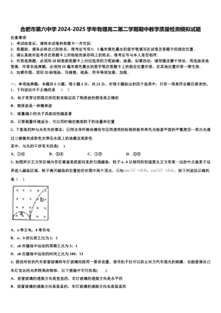 合肥市第六中学2024-2025学年物理高二第二学期期中教学质量检测模拟试题含解析