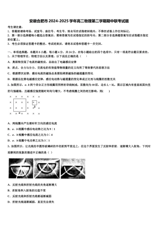 安徽合肥市2024-2025学年高二物理第二学期期中联考试题含解析