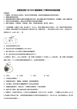安徽省合肥二中2025届物理高二下期中综合测试试题含解析