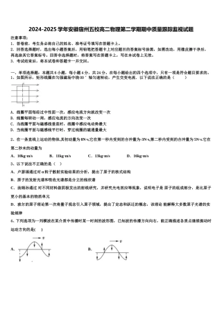 2024-2025学年安徽宿州五校高二物理第二学期期中质量跟踪监视试题含解析