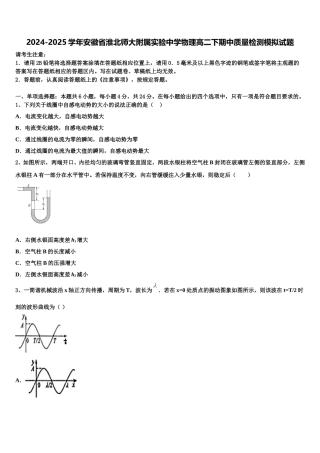 2024-2025学年安徽省淮北师大附属实验中学物理高二下期中质量检测模拟试题含解析