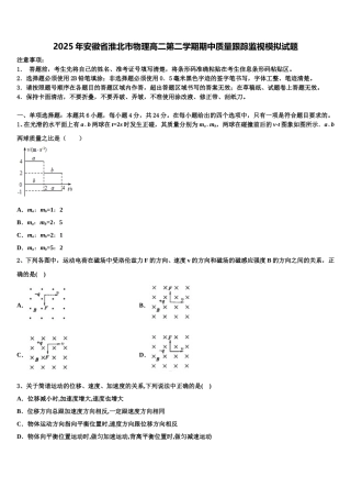 2025年安徽省淮北市物理高二第二学期期中质量跟踪监视模拟试题含解析