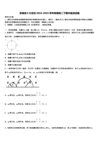 安徽省十大名校2024-2025学年物理高二下期中监测试题含解析