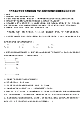 江西省丰城市东煌外语实验学校2025年高二物理第二学期期中达标检测试题含解析