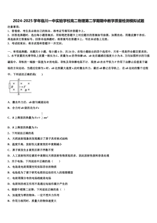 2024-2025学年临川一中实验学校高二物理第二学期期中教学质量检测模拟试题含解析