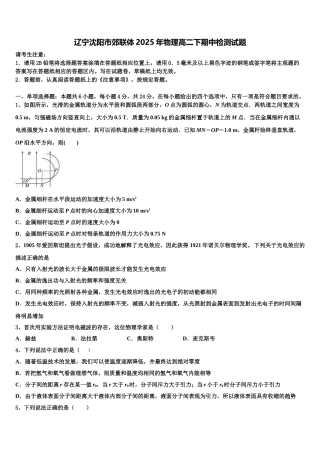 辽宁沈阳市郊联体2025年物理高二下期中检测试题含解析