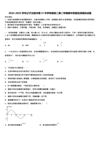 2024-2025学年辽宁沈阳市第31中学物理高二第二学期期中质量检测模拟试题含解析