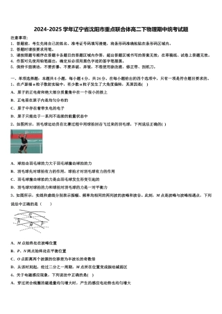 2024-2025学年辽宁省沈阳市重点联合体高二下物理期中统考试题含解析