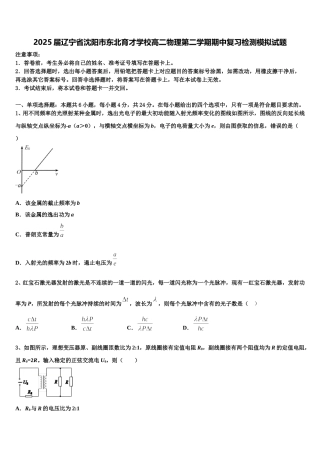 2025届辽宁省沈阳市东北育才学校高二物理第二学期期中复习检测模拟试题含解析